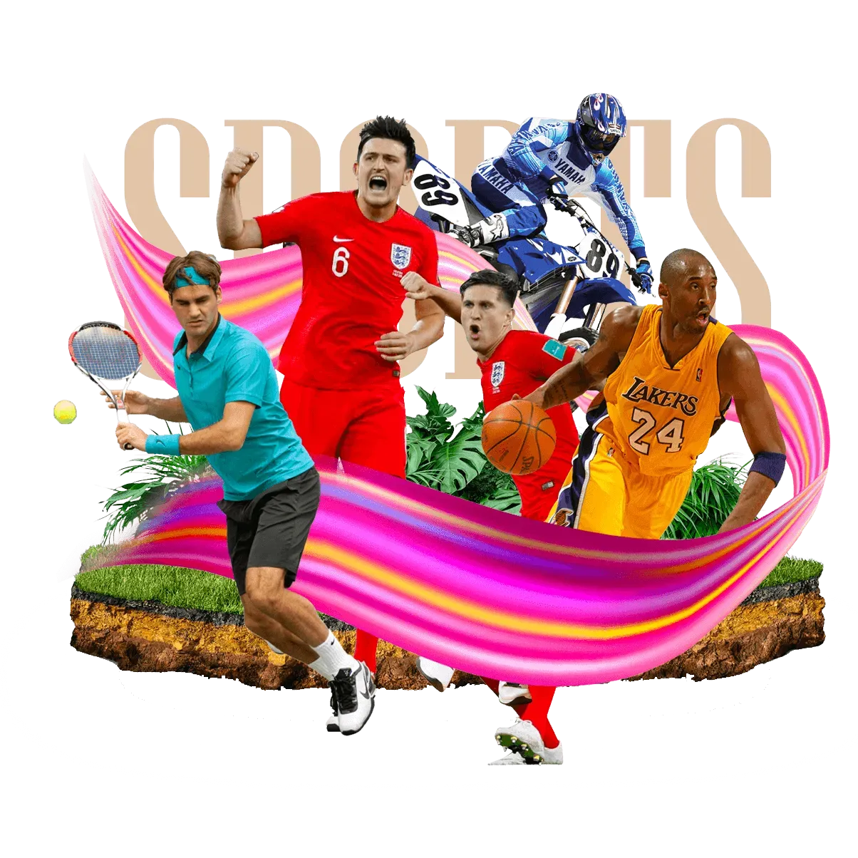 小黄猫文化独乐乐体育赛事